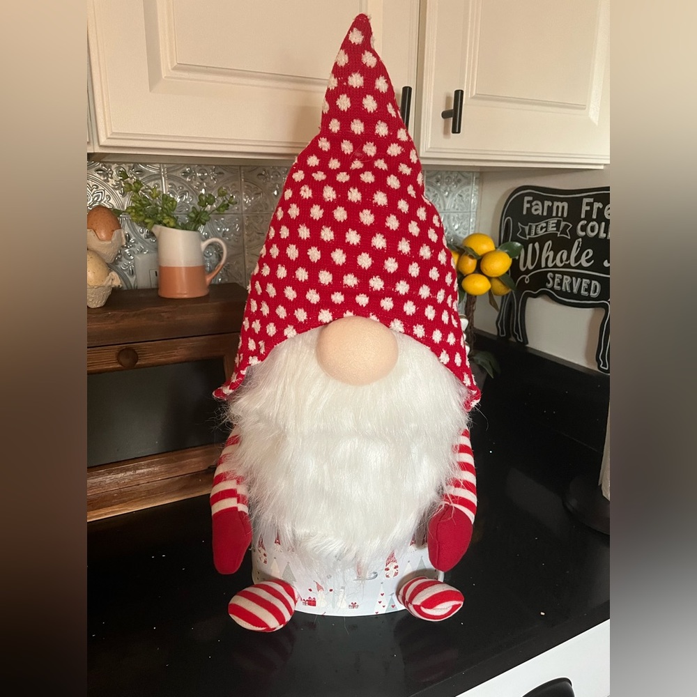 Large winter gnome container‎